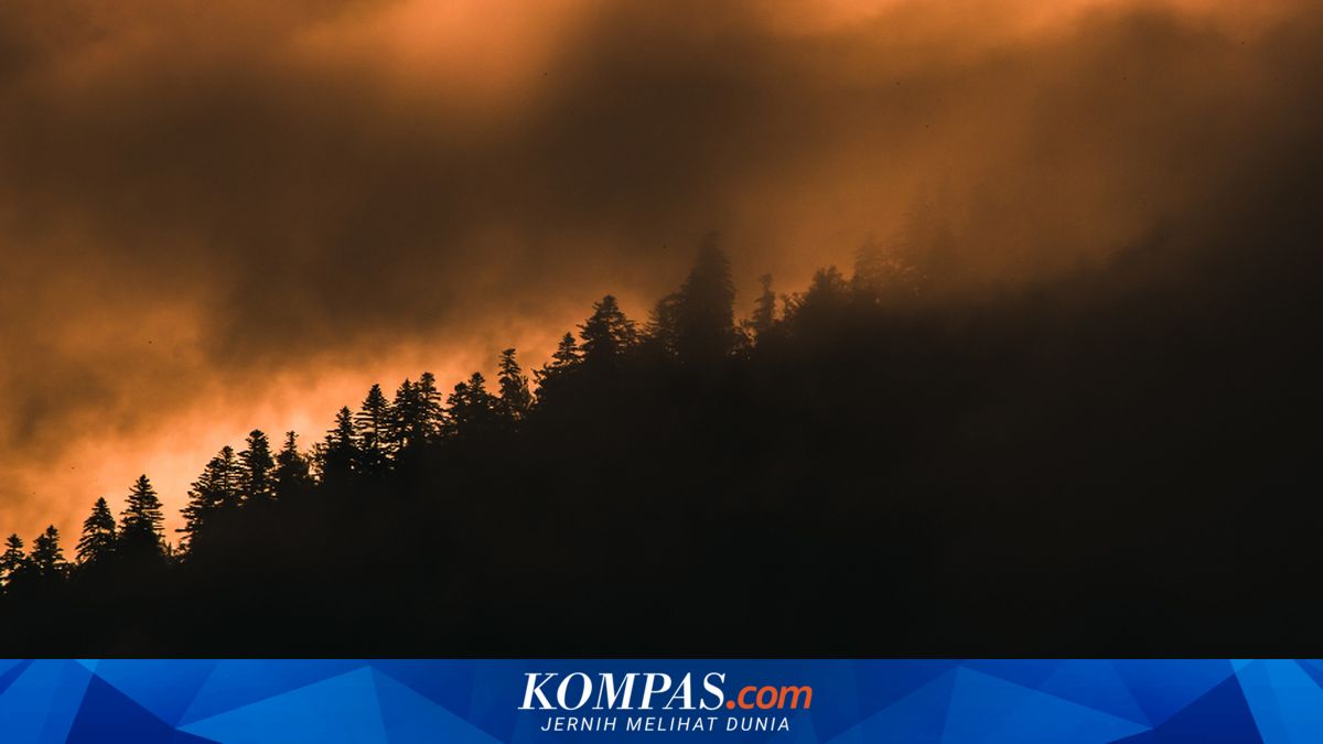 Pemandangan udara lokasi kebakaran hutan hebat di kawasan Psatha Yunani dengan kepulan asap pekat hitam membumbung tinggi di langit.