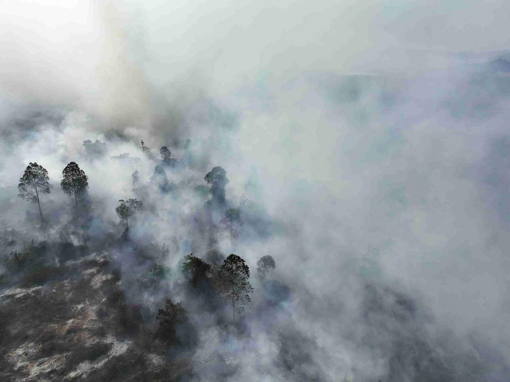 Foto udara memperlihatkan kepulan asap pekat dari kebakaran hutan dan lahan di Kecamatan Lalolae, Kabupaten Kolaka Timur, Sulawesi Tenggara.