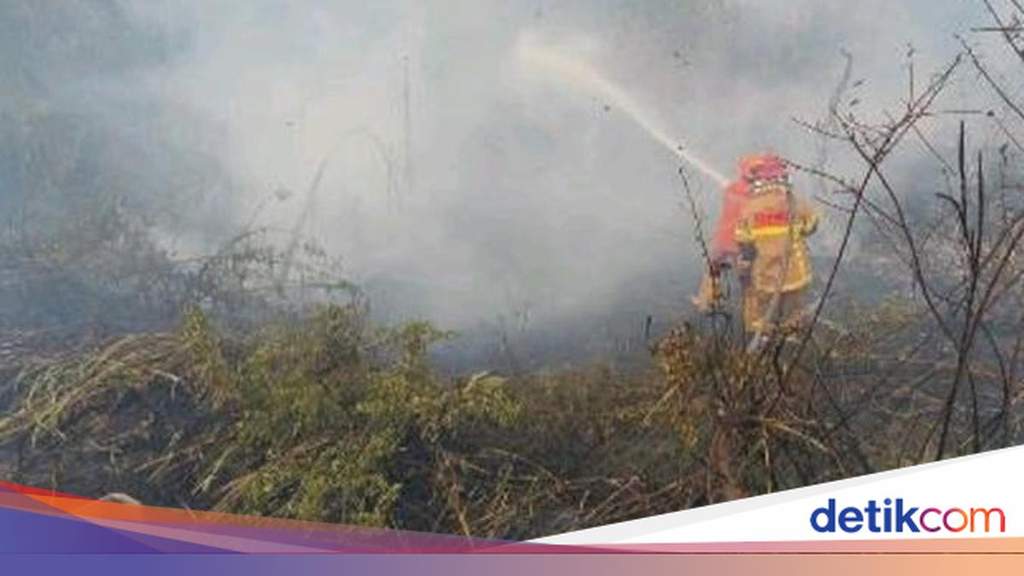 Kepulan asap pekat membumbung tinggi dari lahan yang mengalami kebakaran hutan dan lahan di wilayah Sumatera Selatan.