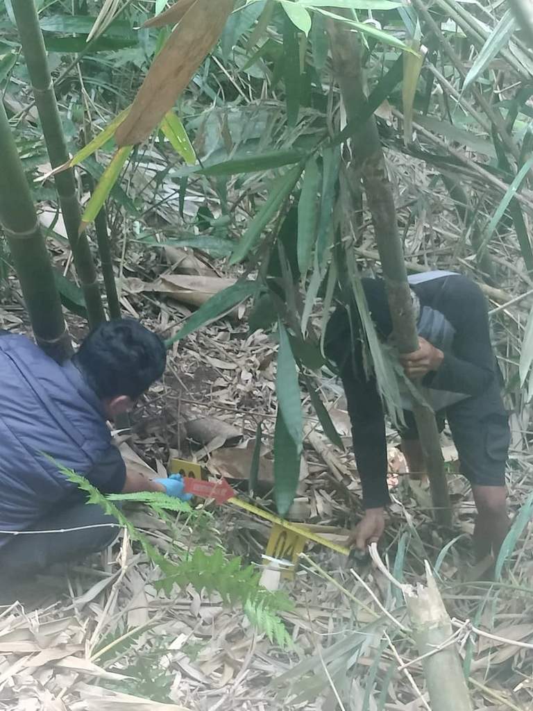 Suasana olah tempat kejadian perkara oleh pihak kepolisian di kawasan hutan wilayah Tembuku, Kabupaten Bangli, Bali.